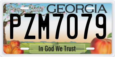 GA license plate PZM7079