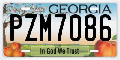 GA license plate PZM7086