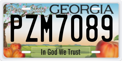 GA license plate PZM7089