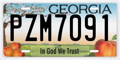 GA license plate PZM7091