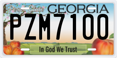 GA license plate PZM7100