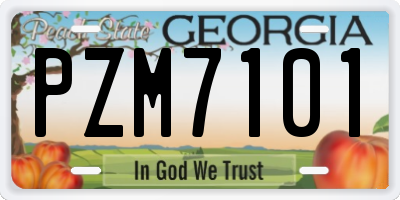 GA license plate PZM7101