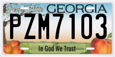GA license plate PZM7103