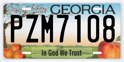 GA license plate PZM7108