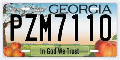 GA license plate PZM7110
