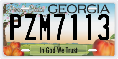 GA license plate PZM7113