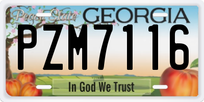 GA license plate PZM7116