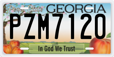 GA license plate PZM7120