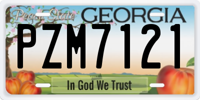 GA license plate PZM7121