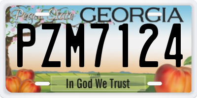 GA license plate PZM7124