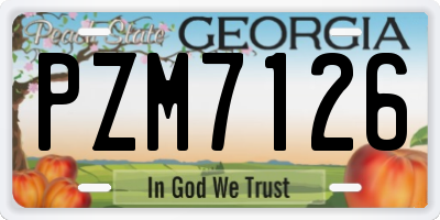 GA license plate PZM7126