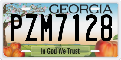 GA license plate PZM7128