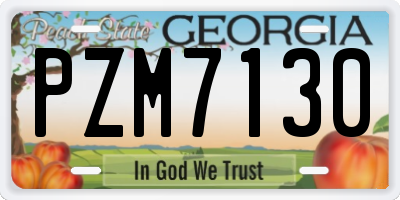 GA license plate PZM7130