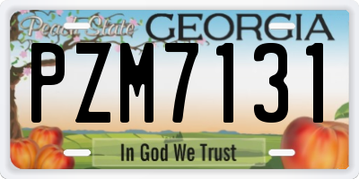GA license plate PZM7131