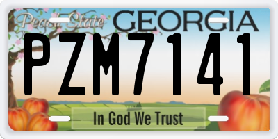 GA license plate PZM7141