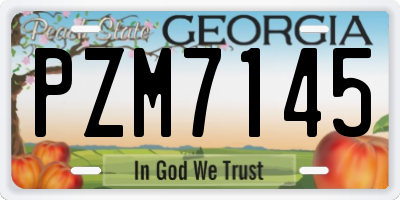 GA license plate PZM7145