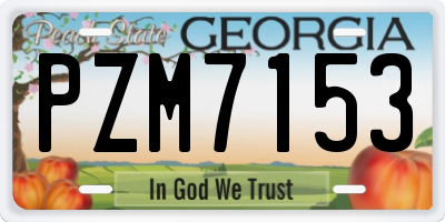 GA license plate PZM7153