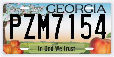 GA license plate PZM7154