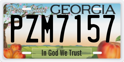 GA license plate PZM7157
