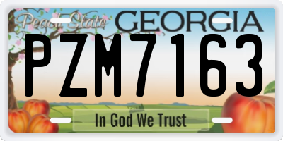 GA license plate PZM7163