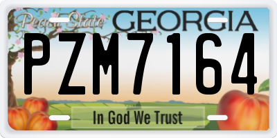 GA license plate PZM7164