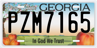 GA license plate PZM7165