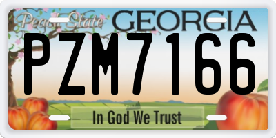 GA license plate PZM7166
