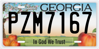 GA license plate PZM7167