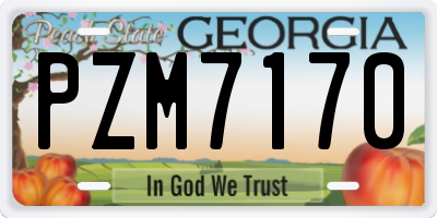 GA license plate PZM7170