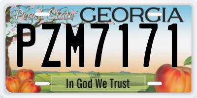 GA license plate PZM7171