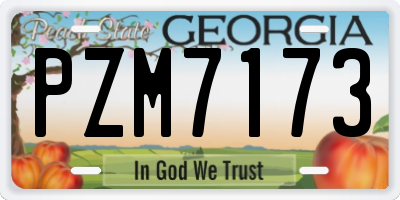 GA license plate PZM7173