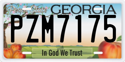 GA license plate PZM7175