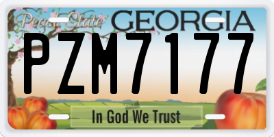 GA license plate PZM7177