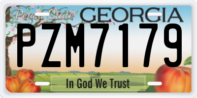 GA license plate PZM7179