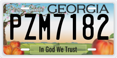 GA license plate PZM7182