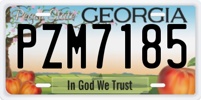 GA license plate PZM7185