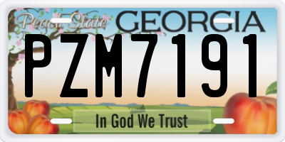 GA license plate PZM7191