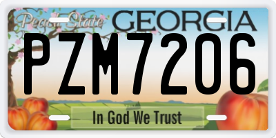 GA license plate PZM7206