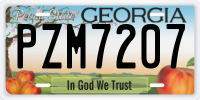 GA license plate PZM7207