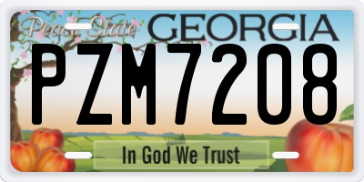 GA license plate PZM7208