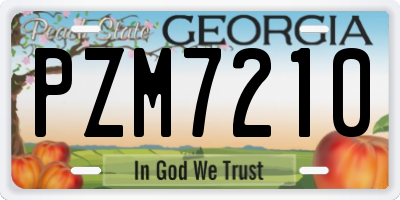 GA license plate PZM7210