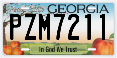 GA license plate PZM7211