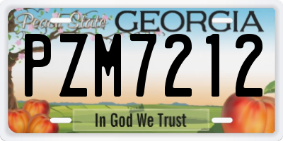 GA license plate PZM7212