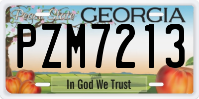 GA license plate PZM7213