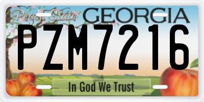 GA license plate PZM7216