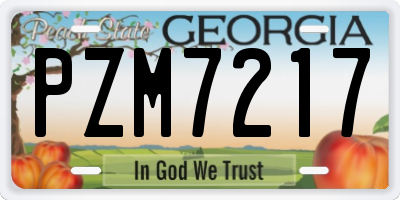 GA license plate PZM7217