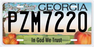 GA license plate PZM7220