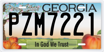 GA license plate PZM7221