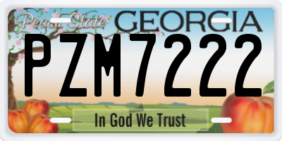 GA license plate PZM7222