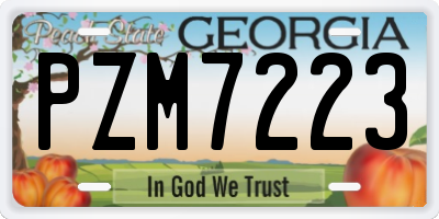 GA license plate PZM7223